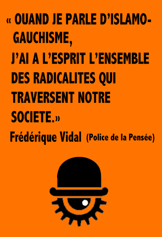 Hugo Micheron - Terroriste à 15 ans en replay - L'invité de C